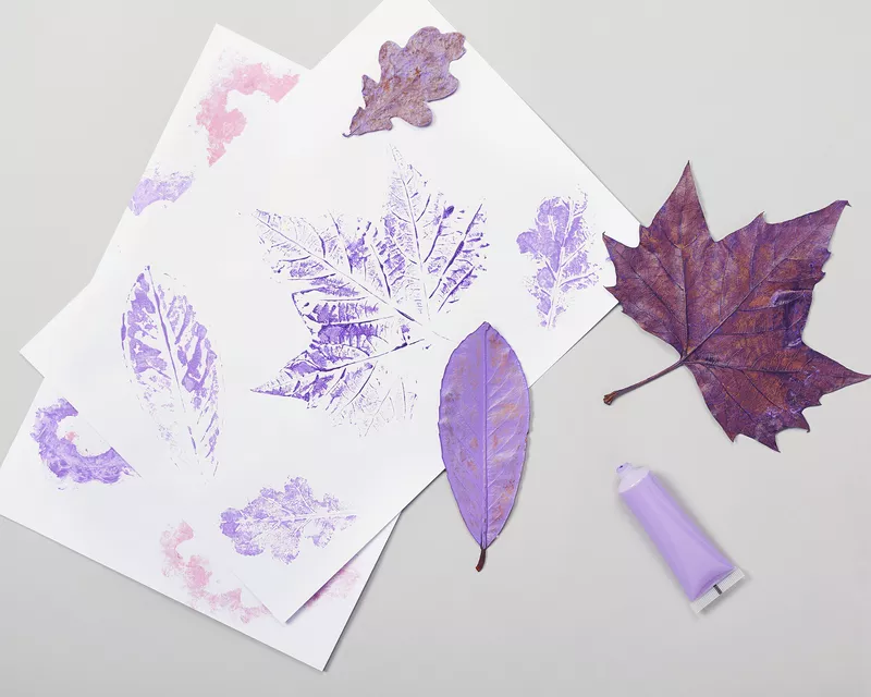 S’amuser avec les empreintes de feuilles d’arbre